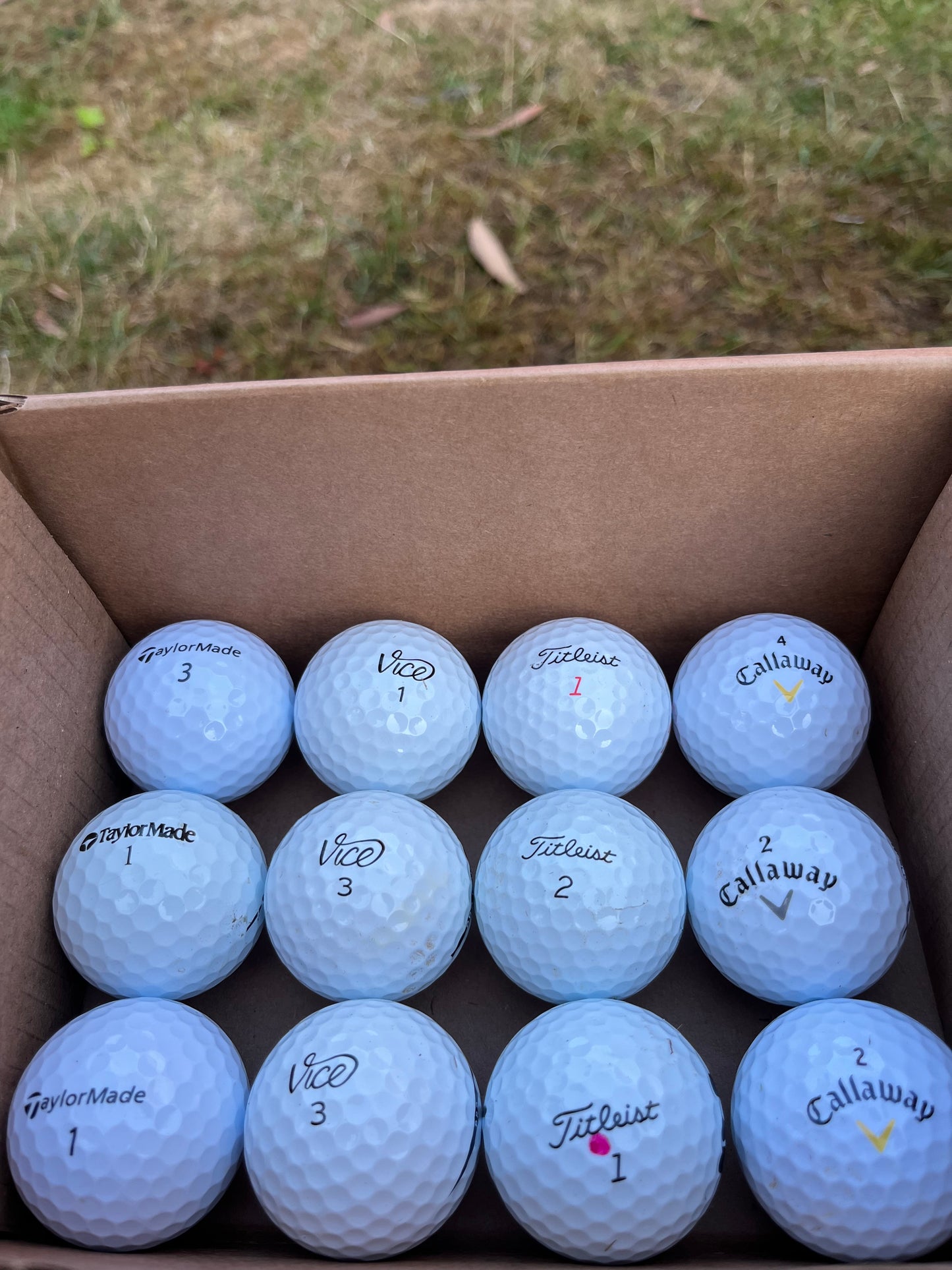 12 x Premium Golf Balls – Mixed Brands