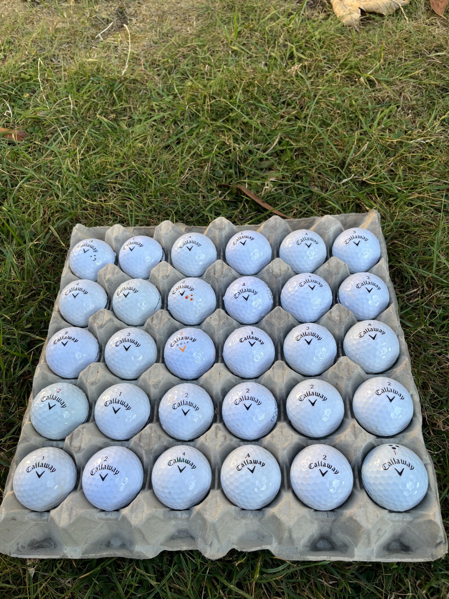 24 x Callaway Premium Mix